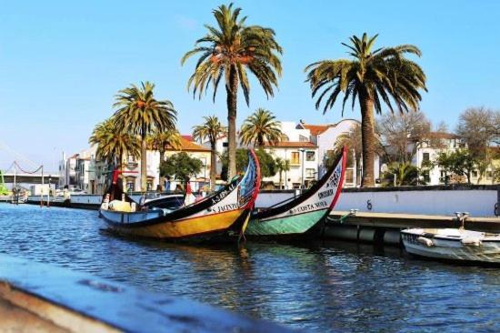 Rota Ria Alojamento Local Aveiro Extérieur photo