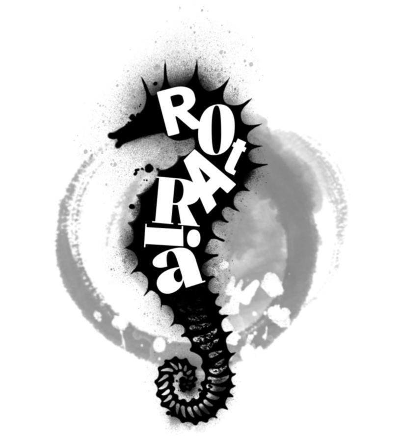 Rota Ria Alojamento Local Aveiro Extérieur photo